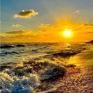 Meet your Posher, Kaylee